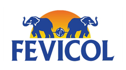 fevicol